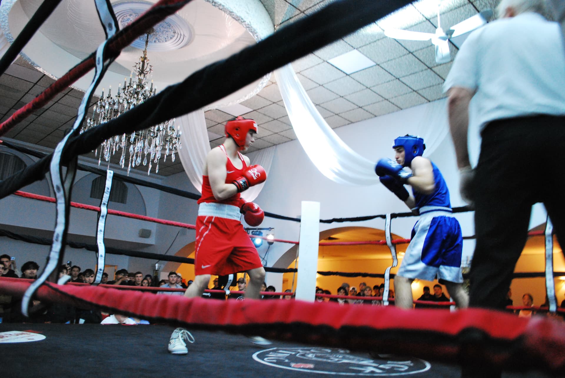 A live FFAC bout underway in the ring